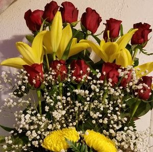 Meet your Posher, Maria